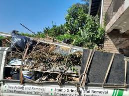 Best Same-Day Junk Removal Services in Fkville, AL